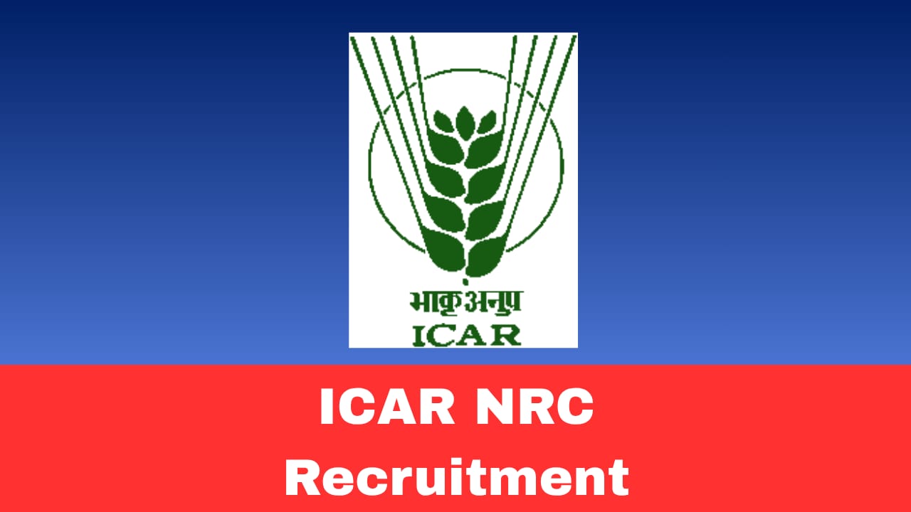 ICAR-NRC on Pig Guwahati Recruitment 2026 – Part-Time Medical Doctor (Walk-in-Interview)